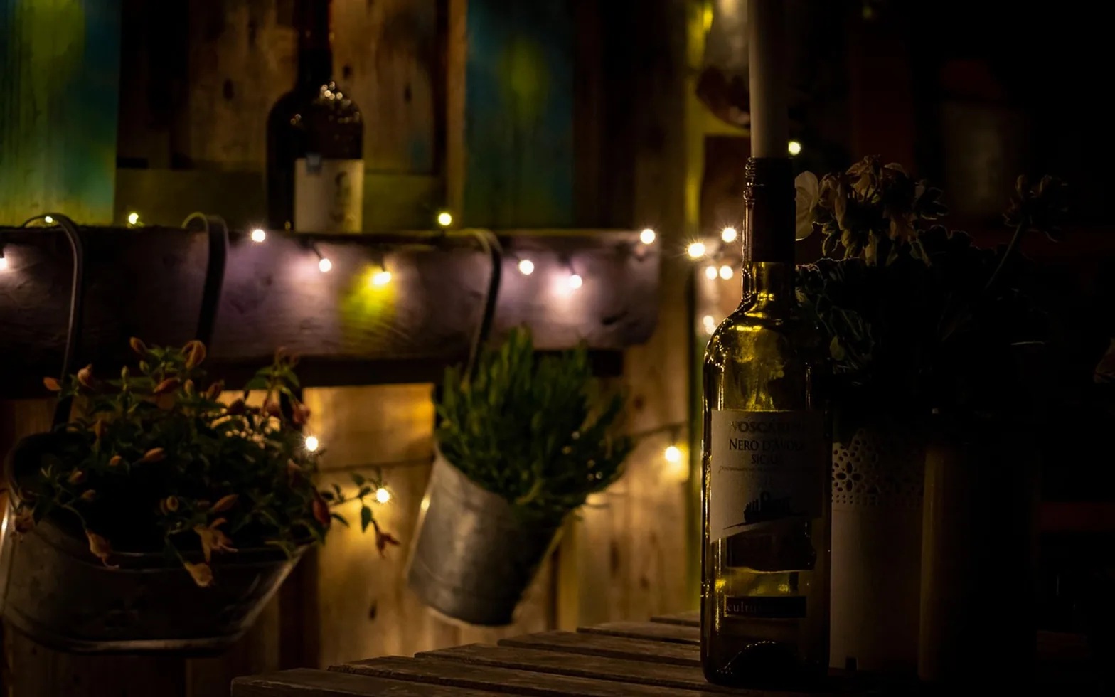 Garden, night and nature