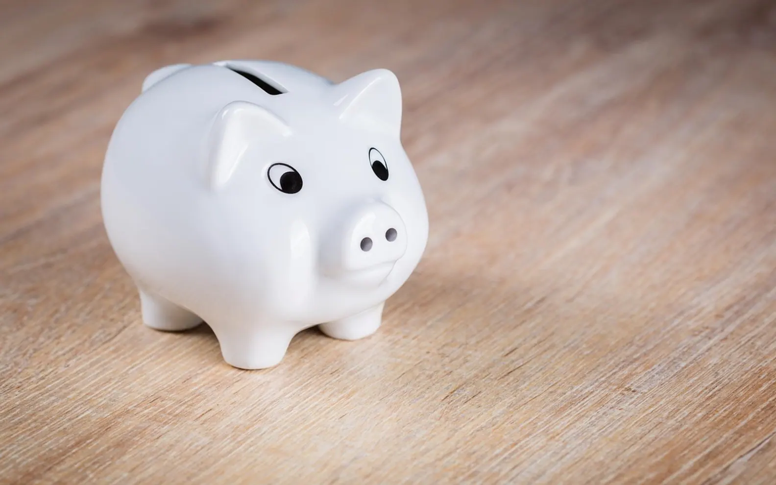 Piggy bank, save up and piggy
