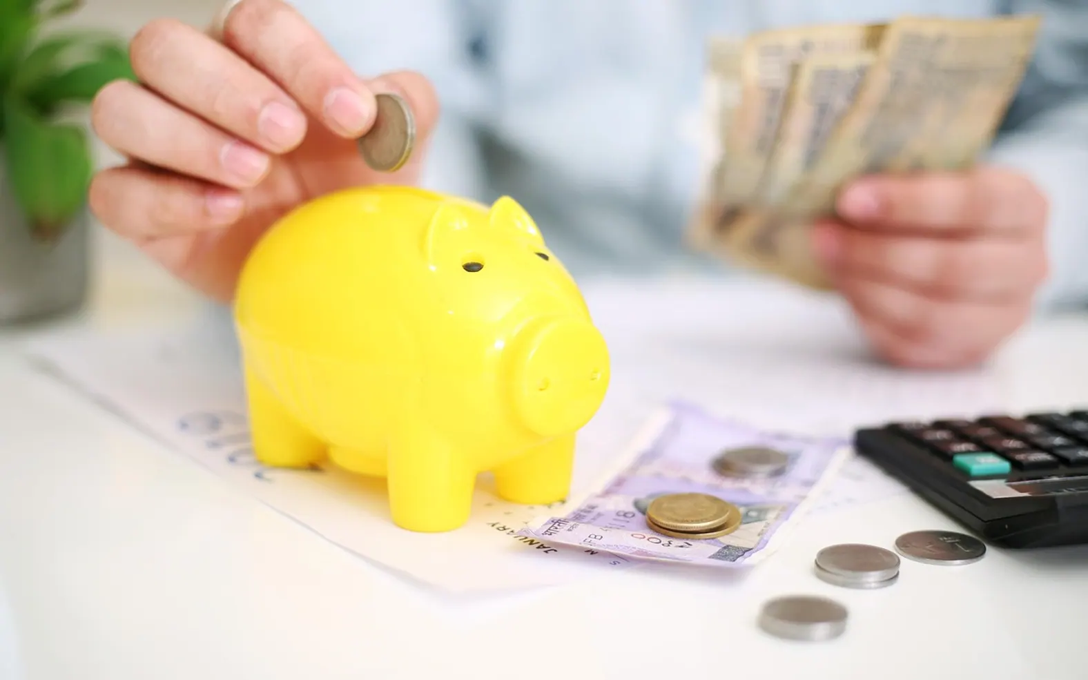 Money, savings and credit card